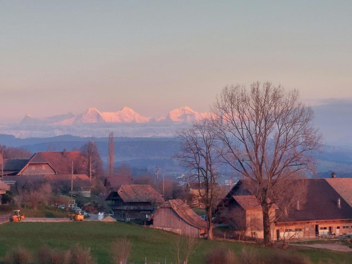 Hotel Alpenblick Ferenberg Bern Stettlen Exteriér fotografie